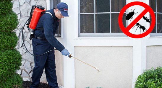 Karacabey Hamam Böceği İlaçlama böcek ilaçlama ve haşere kontrolü — ilaclama-tr.com